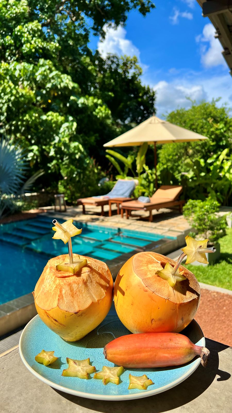 Fresh coconuts by the pool